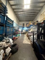 Pioneer Lot (D22), Factory #559187001